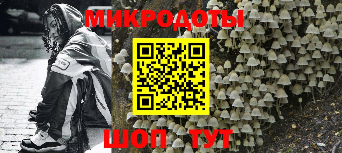 Галлюциногенные грибы Psilocybine cubensis  цена наркотик  Вход с VPN  Гулькевичи  Псилоцибиновые грибы Psilocybine cubensis 