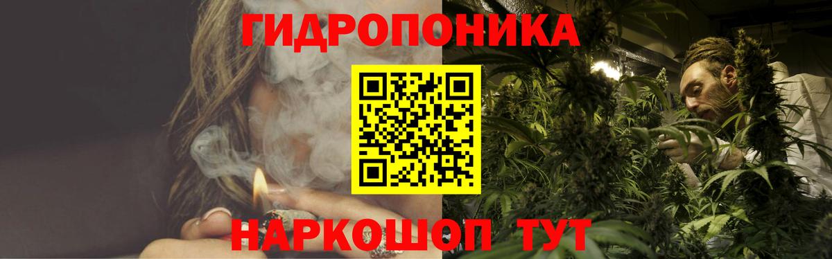 Бошки Шишки VHQ Гулькевичи